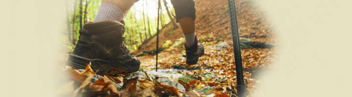 trekkingschuhe kategorieeinstiegsbanner